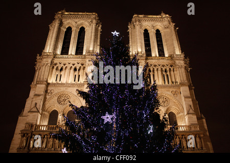 Albero di Natale al di fuori la cattedrale di Notre Dame di Parigi, Parigi, Francia, Europa Foto Stock