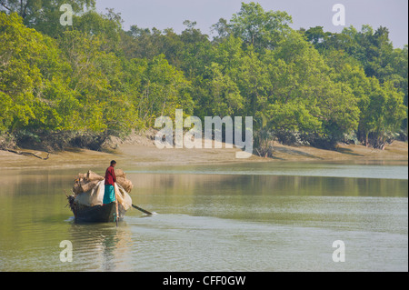 Piccola barca a remi in zone paludose del Sundarbans, Sito Patrimonio Mondiale dell'UNESCO, Bangladesh Asia Foto Stock