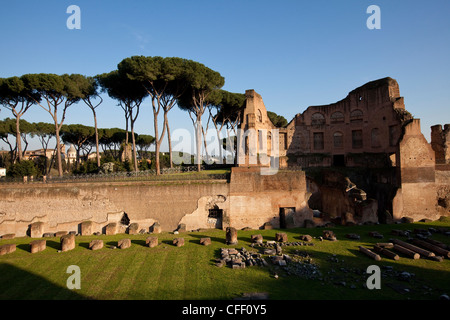 Palazzo Imperiale al Forum Romanum, Palatino, Roma, Lazio, l'Italia, Europa Foto Stock