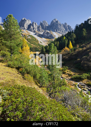 Stream Griesbach a Kemater Alp nella luce del sole, Kalkkoegel, Tirolo, Austria, Europa Foto Stock