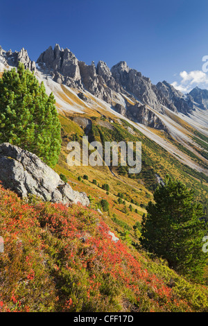 A Pino Kemater Alp nella luce del sole, Kalkkoegel, Tirolo, Austria, Europa Foto Stock