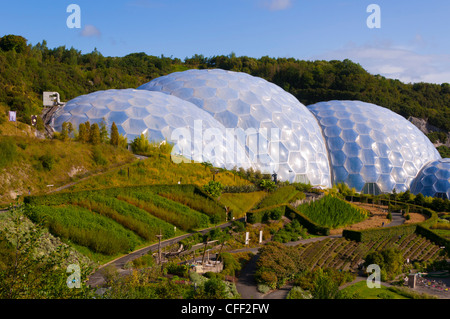 Eden Project vicino a St. Austell, Cornwall, England, Regno Unito, Europa Foto Stock