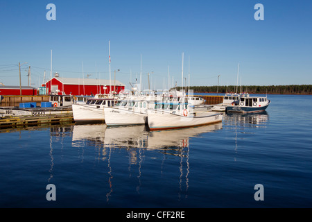 Barca da pesca legato fino al molo, Northport, Prince Edward Island, Canada Foto Stock