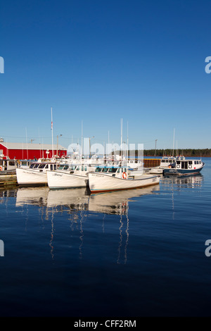 Barca da pesca legato fino al molo, Northport, Prince Edward Island, Canada Foto Stock