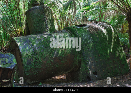 Abbandonata la caldaia a vapore, vicino a tripletto cade, Victoria, Australia Foto Stock