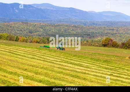 Il taglio di fieno, Saint-Tharcisius, Quebec, Canada Foto Stock