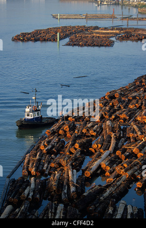 Rimorchiatore a traino e registro braccio, braccio nord del fiume Fraser, Vancouver, British Columbia, Canada. Foto Stock