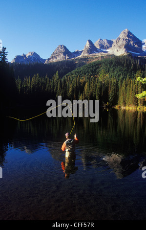 Giovane uomo la pesca con la mosca sull isola nel Lago la lucertola intervallo vicino al Fernie, British Columbia, Canada. Foto Stock