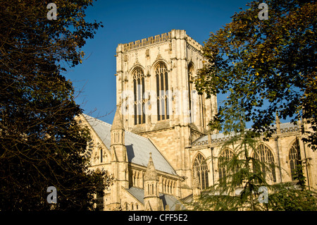 Torre centrale di York Minster contro il cielo blu incorniciato da alberi Foto Stock