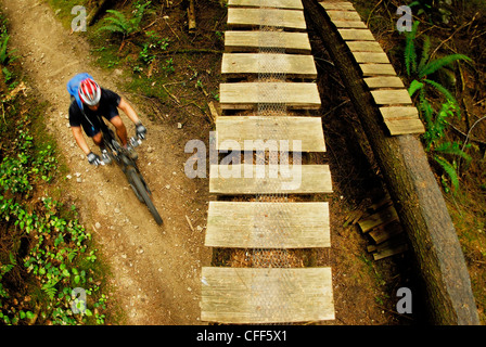 L'uomo equitazione mountain bike su Sunshine Coast sentieri, British Columbia, Canada. Foto Stock