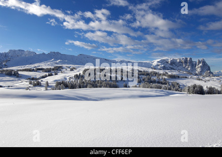 Paesaggio di montagna sotto il cielo velato in inverno, Dolomiti, Alto Adige, Italia, Europa Foto Stock