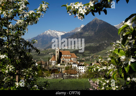 Vista di Schenna Primavera in Alto Adige, Alto Adige, Italia Foto Stock