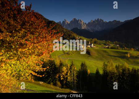 A Santa Maddalena in Val di Villnoess in autunno, Dolomiti, Alto Adige, Alto Adige, Italia, Europa Foto Stock