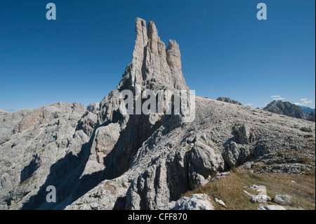 Torri di Vajolet sotto la luce diretta del sole, parco naturale dello Sciliar, Dolomiti, Alto Adige, Alto Adige, Italia, Europa Foto Stock