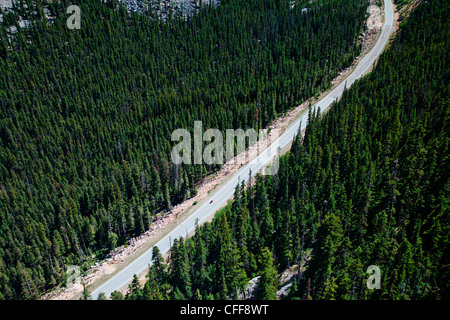 Una strada taglia attraverso un parco nazionale e il verde degli alberi. Foto Stock