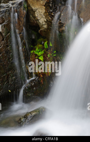 Dettaglio della cascata sotto il beccuccio Cautley nel Howgill Fells Cumbria Foto Stock