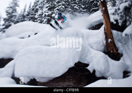 Un maschio di sciatore di blasti attraverso cuscini in polvere nel backcountry in Colorado. Foto Stock