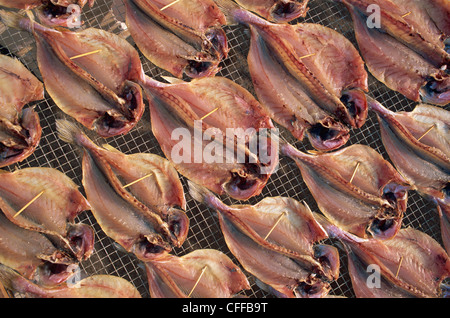 Cina, Hong Kong, Cheung Chau Isola, pesce di essiccazione Foto Stock