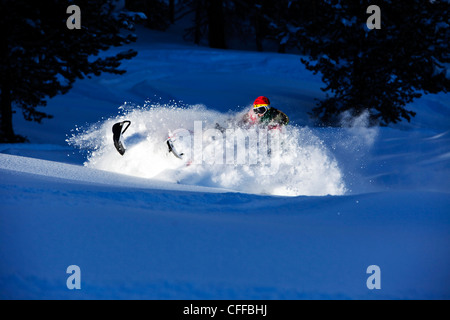 Un snowmobiler boon il dock si trasforma in polvere in Colorado. Foto Stock