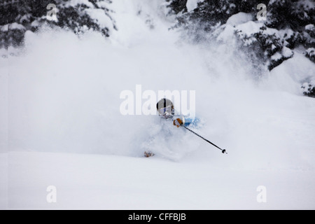 Un athletic sciatore lacerazioni profonde fresco in polvere si trasforma nel backcountry su un giorno di tempesta in Colorado. Foto Stock