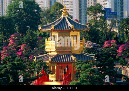 Cina, Hong Kong, Diamond Hill, Giardino Nan Lian, Pavilion di perfezione assoluta sul laghetto di loto Foto Stock