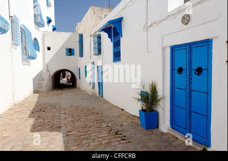 Idi Bou Said. La Tunisia. Vista del tipico alquanto tranquillo vicolo rivestiti con pareti dipinte di bianco e blu porte pots blu e blu Foto Stock