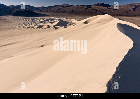 La luce del mattino su Eureka dune di sabbia e dune alte nella parte remota della Death Valley, California, Stati Uniti d'America Foto Stock