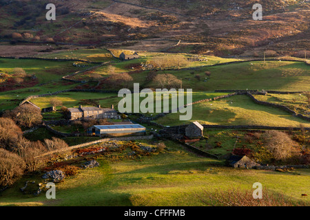 Remote Welsh hill farm nella luce della sera vicino a Talsarnau gamma Rhinog Snowdonia National Park Gwynedd North Wales UK Foto Stock