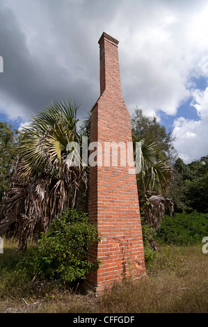 Lone a due piani con caminetto in mattoni camino è tutto ciò che rimane di una vecchia casa di campagna nelle zone rurali del Nord in Florida. Foto Stock