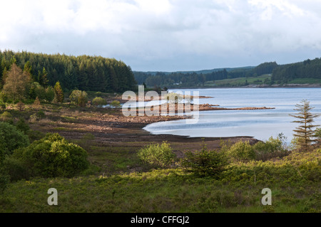Dumfries and Galloway scotland clatteringshaws galloway Forest park Foto Stock
