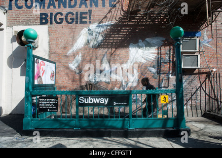 I piccioni sembrano volare al di fuori di un'entrata della metropolitana su un murale in Fort Greene quartiere di Brooklyn a New York Foto Stock