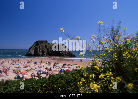 Il castello e la spiaggia di Santa Caterina di Isola Tenby Pembrokeshire Coast National Park West Wales UK Foto Stock