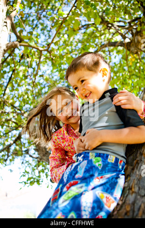 Un ragazzo e una ragazza di arrampicarsi su un albero in Garden City, Utah. Foto Stock