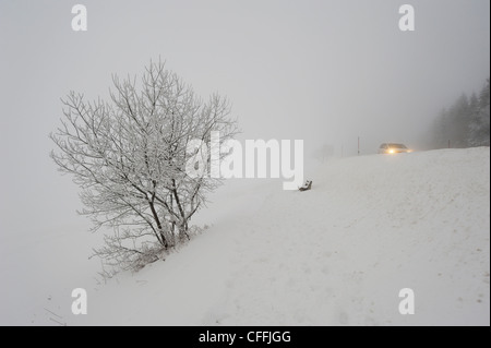 Misty strada in inverno Foto Stock
