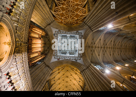 Il bellissimo fan-soffitto a volta e la torre attraversando in York Minster e York Foto Stock