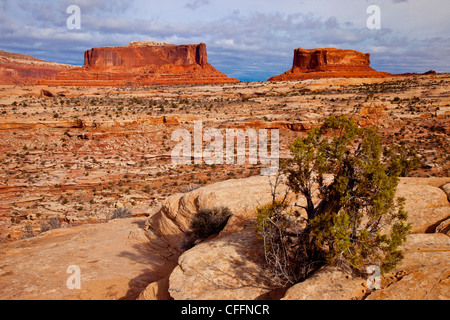 Monitor e Merrimack Buttes vicino al Parco Nazionale di Canyonlands, Moab Utah, Stati Uniti d'America Foto Stock