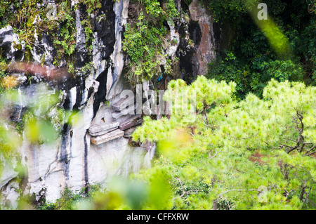 Uno sguardo più da vicino di appendere le bare in Sagada, Filippine. Un modo unico di rituali in Asia. Foto Stock