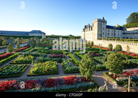 Francia, i giardini del castello di Villandry, orto trattati come un 'Jardin à la française ". Foto Stock