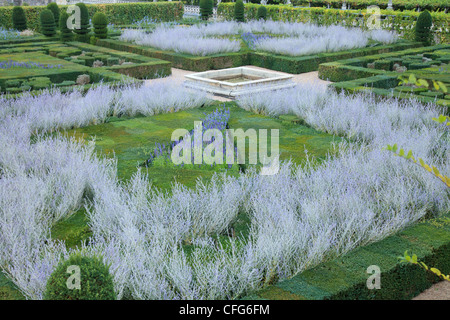 Francia, i giardini del castello di Villandry, in primo piano la 'Musica Garden' (Topiaria da tassi e legno di bosso, salvia, Perowskia). Foto Stock