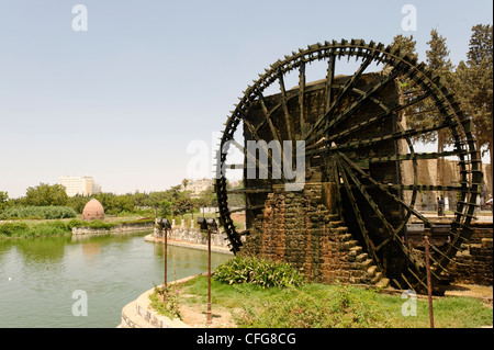 Hama. La Siria. Vista la grande ruota di acqua di legno noto come al-Mamuriye che risale dal 1453 nella parte centrale della città Foto Stock