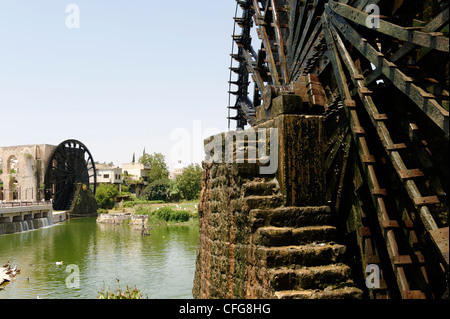 Hama. La Siria. Vista parziale dell'enorme ruota di acqua di legno noto come al-Mamuriye che risale al 1453. Un altro ruota di acqua è Foto Stock