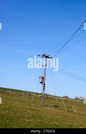 Palo del telegrafo nel campo Foto Stock