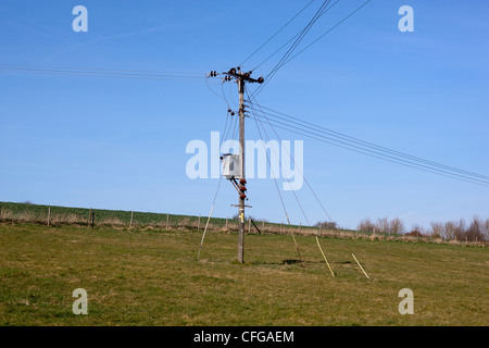 Palo del telegrafo nel campo Foto Stock