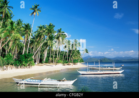 Filippine, Palawan Bacuit Bay, El Nido, Spiaggia scena Foto Stock