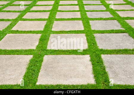 Erba tra sassi, blocco per pavimentazioni. Foto Stock