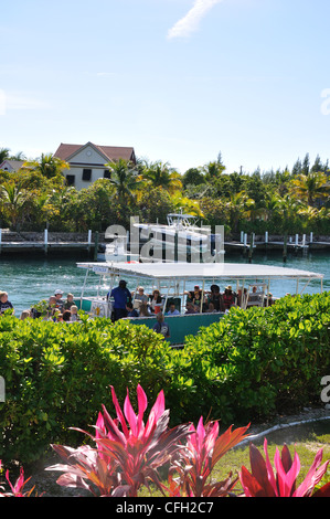 UNEXSO Delfinario di Freeport, Bahamas Foto Stock