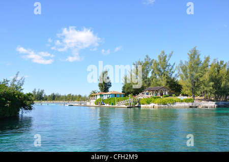 UNEXSO Delfinario di Freeport, Bahamas Foto Stock