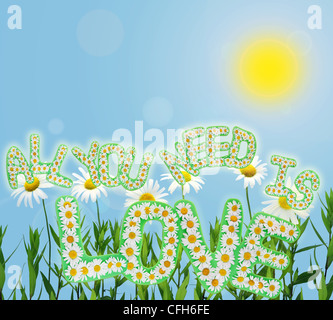 Tutto ciò di cui hai bisogno è amore frase floreale collage dal margherite fiori Foto Stock