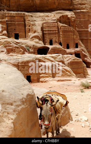 Petra. La Giordania. Vista di alcune delle tombe di facciate dalla strada delle facciate alla Red Rose città di Petra. La strada di Foto Stock