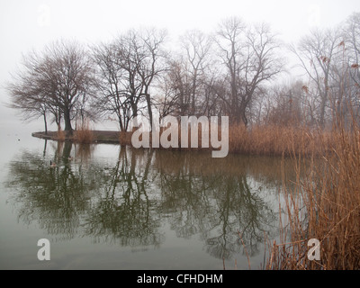 Mattinata nebbiosa lungo il lago durante il periodo invernale in Prospect Park di Brooklyn, New York. Foto Stock